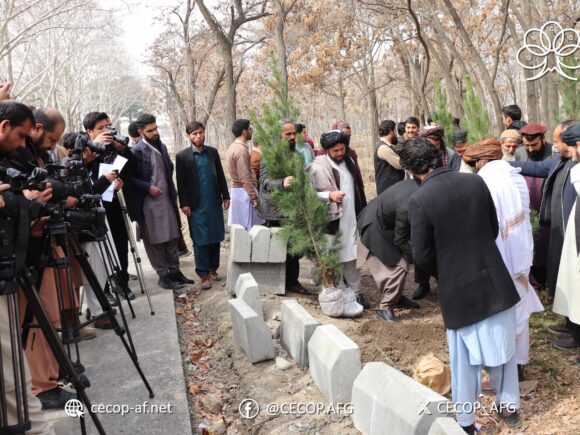 آغاز کمپاین نهال شانی پلاتفورم هماهنگی اقلیم و محیط زیست ( CECOP) برای سال ۲۰۲۴ میلادی