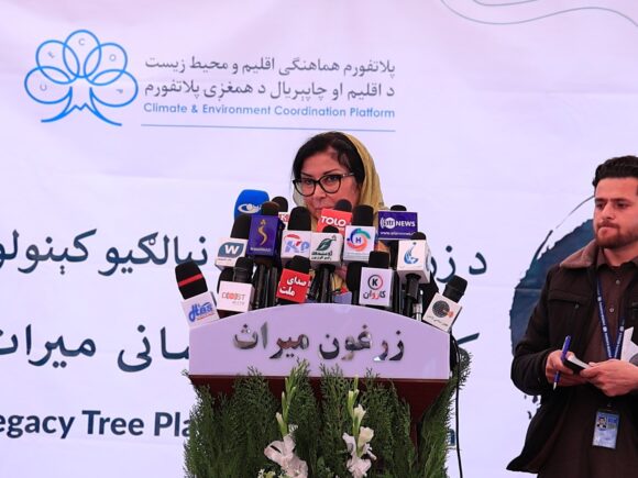 د “زرغون میراث” نهال‌کاري کمپاین – پوهنتون پولی تخنیک کابل
