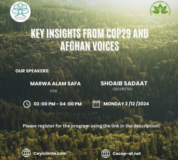 Key Insights from COP29 and Afghan Voices