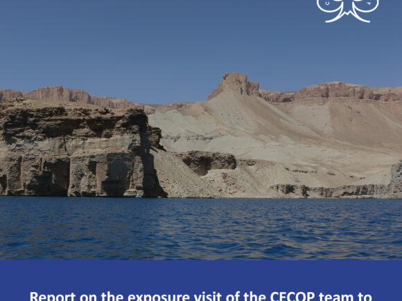 We are delighted to share