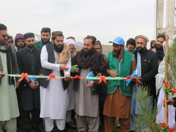 Green Legacy Tree Planting Campaign Reaches Logar