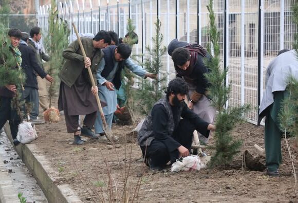Green Legacy Tree Planting Campaign at Kabul Education University