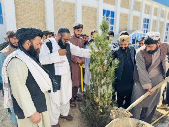 Green Legacy – Tree Planting Campaign in Helmand